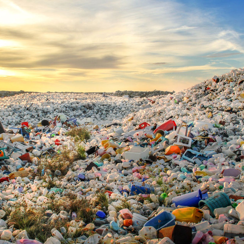 Rethinking Recycling: The Path to Reducing Plastic Consumption