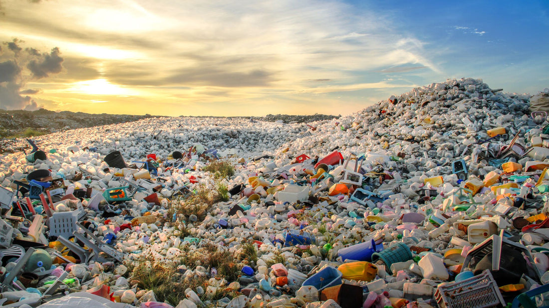 Rethinking Recycling: The Path to Reducing Plastic Consumption